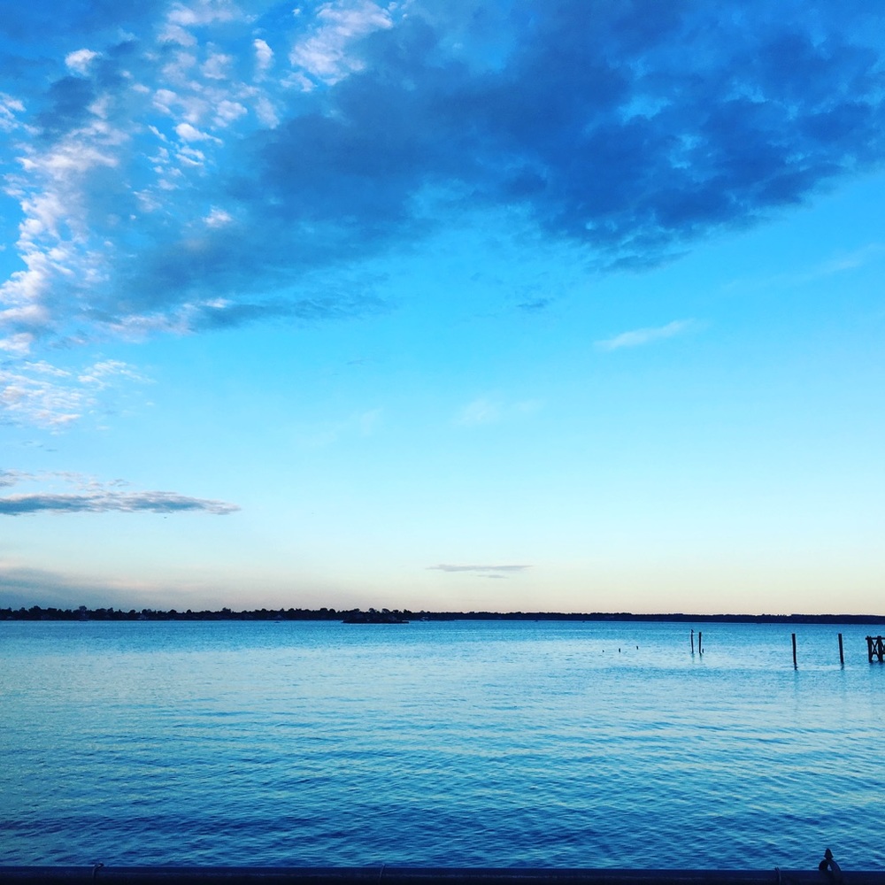 LIKE THIS POST TO BE NOTIFIED OF MY FUTURE POSH SHOWS. THANK YOU!!